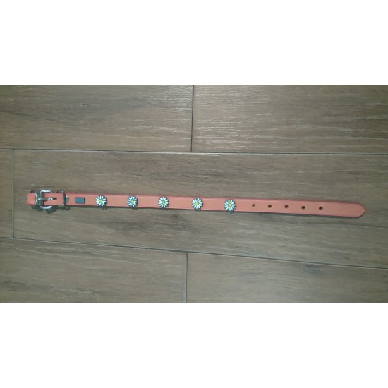"Hot Dressed" Pink Dog Collar with Daisy Pattern - 20 '' * 